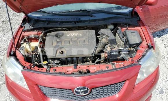 Acheter Neuf Voiture Toyota Corolla Rouge à Lagos, État de Lagos Acheter Neuf Voiture Toyota Corolla Rouge à Lagos, État de Lagos