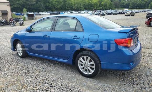 Acheter Neuf Voiture Toyota Corolla Bleu à Lagos, État de Lagos Acheter Neuf Voiture Toyota Corolla Bleu à Lagos, État de Lagos