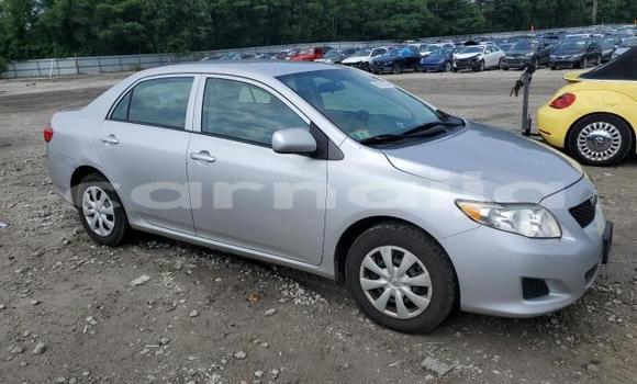 Buy New Toyota Corolla Silver Car in Lagos in Lagos State