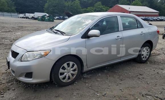 Buy New Toyota Corolla Silver Car in Lagos in Lagos State Buy New Toyota Corolla Silver Car in Lagos in Lagos State