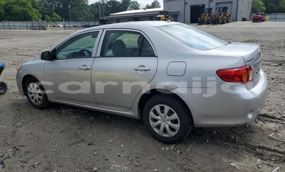 Buy New Toyota Corolla Silver Car in Lagos in Lagos State Buy New Toyota Corolla Silver Car in Lagos in Lagos State