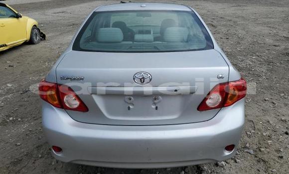 Buy New Toyota Corolla Silver Car in Lagos in Lagos State Buy New Toyota Corolla Silver Car in Lagos in Lagos State
