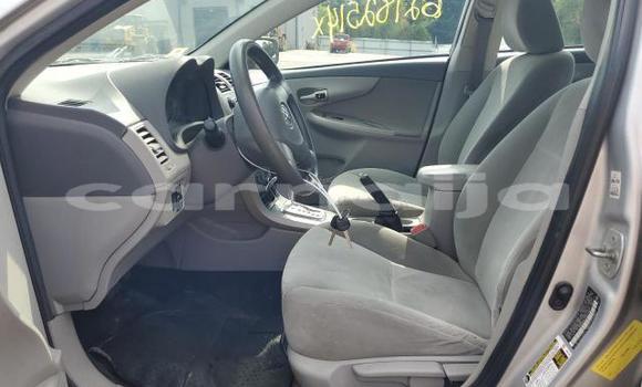 Buy New Toyota Corolla Silver Car in Lagos in Lagos State Buy New Toyota Corolla Silver Car in Lagos in Lagos State