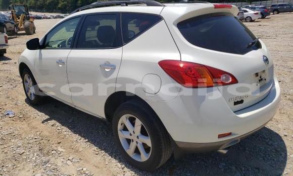 Acheter Neuf Voiture Nissan Murano Blanc à Lagos, État de Lagos Acheter Neuf Voiture Nissan Murano Blanc à Lagos, État de Lagos
