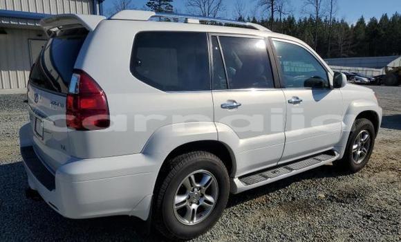 Acheter Neuf Voiture Lexus GX Blanc à Lagos, État de Lagos Acheter Neuf Voiture Lexus GX Blanc à Lagos, État de Lagos