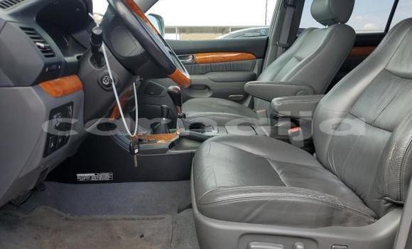 Acheter Neuf Voiture Lexus GX Blanc à Lagos, État de Lagos Acheter Neuf Voiture Lexus GX Blanc à Lagos, État de Lagos