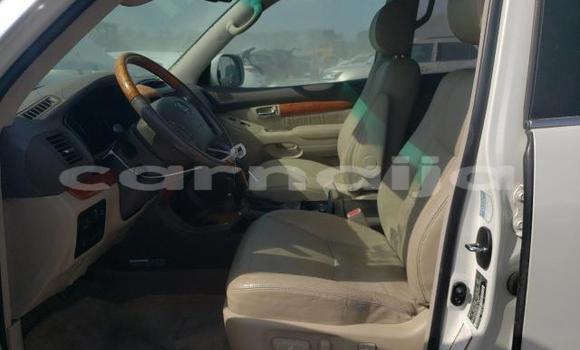 Acheter Neuf Voiture Lexus GX Blanc à Lagos, État de Lagos Acheter Neuf Voiture Lexus GX Blanc à Lagos, État de Lagos