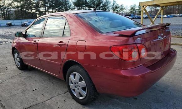 Acheter Neuf Voiture Toyota Corolla Rouge à Lagos, État de Lagos Acheter Neuf Voiture Toyota Corolla Rouge à Lagos, État de Lagos