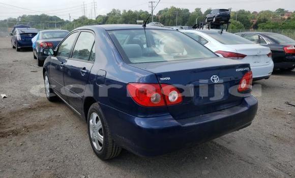 Acheter Neuf Voiture Toyota Corolla Bleu à Lagos, État de Lagos Acheter Neuf Voiture Toyota Corolla Bleu à Lagos, État de Lagos