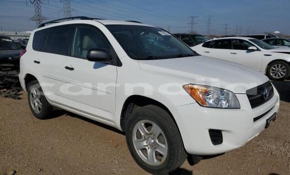 Buy New Toyota RAV4 White Car in Lagos in Lagos State