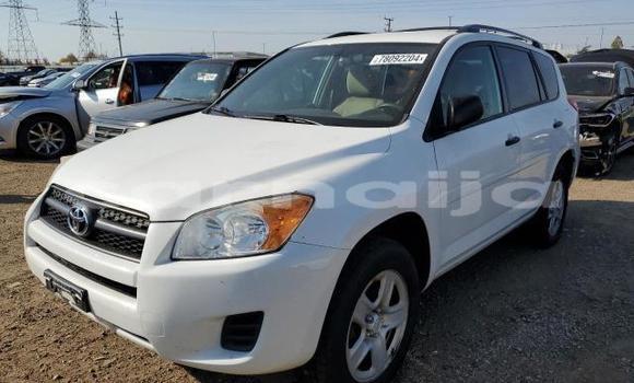 Acheter Neuf Voiture Toyota RAV4 Blanc à Lagos, État de Lagos Acheter Neuf Voiture Toyota RAV4 Blanc à Lagos, État de Lagos