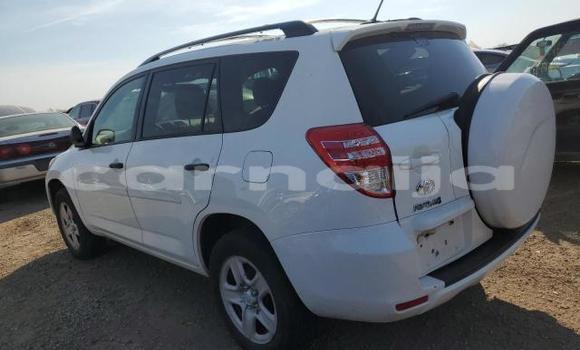 Acheter Neuf Voiture Toyota RAV4 Blanc à Lagos, État de Lagos Acheter Neuf Voiture Toyota RAV4 Blanc à Lagos, État de Lagos