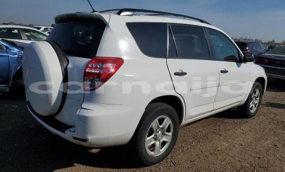 Acheter Neuf Voiture Toyota RAV4 Blanc à Lagos, État de Lagos Acheter Neuf Voiture Toyota RAV4 Blanc à Lagos, État de Lagos