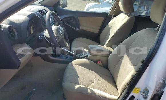 Acheter Neuf Voiture Toyota RAV4 Blanc à Lagos, État de Lagos Acheter Neuf Voiture Toyota RAV4 Blanc à Lagos, État de Lagos