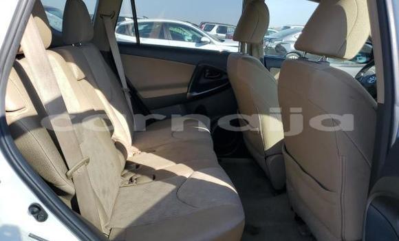 Acheter Neuf Voiture Toyota RAV4 Blanc à Lagos, État de Lagos Acheter Neuf Voiture Toyota RAV4 Blanc à Lagos, État de Lagos