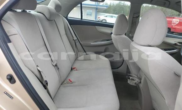 Acheter Neuf Voiture Toyota Corolla Noir à Lagos, État de Lagos Acheter Neuf Voiture Toyota Corolla Noir à Lagos, État de Lagos