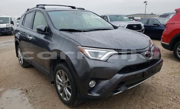 Buy Used Toyota RAV4 Other Car in Lagos in Lagos State