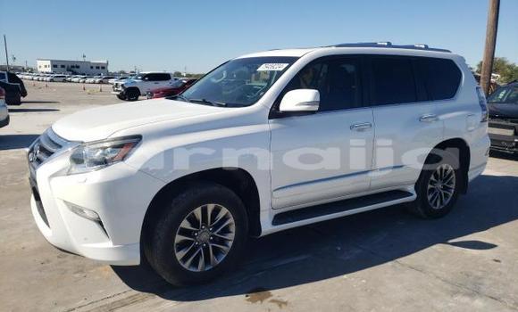 Acheter Neuf Voiture Lexus GX Blanc à Lagos, État de Lagos Acheter Neuf Voiture Lexus GX Blanc à Lagos, État de Lagos