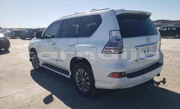 Acheter Neuf Voiture Lexus GX Blanc à Lagos, État de Lagos Acheter Neuf Voiture Lexus GX Blanc à Lagos, État de Lagos