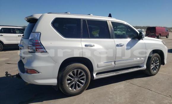 Acheter Neuf Voiture Lexus GX Blanc à Lagos, État de Lagos Acheter Neuf Voiture Lexus GX Blanc à Lagos, État de Lagos