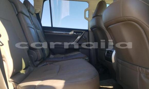 Acheter Neuf Voiture Lexus GX Blanc à Lagos, État de Lagos Acheter Neuf Voiture Lexus GX Blanc à Lagos, État de Lagos