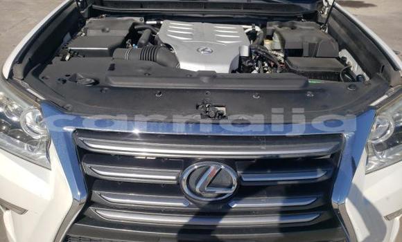 Acheter Neuf Voiture Lexus GX Blanc à Lagos, État de Lagos Acheter Neuf Voiture Lexus GX Blanc à Lagos, État de Lagos
