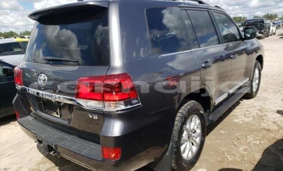 Acheter Neuf Voiture Toyota Land Cruiser Noir à Lagos, État de Lagos Acheter Neuf Voiture Toyota Land Cruiser Noir à Lagos, État de Lagos