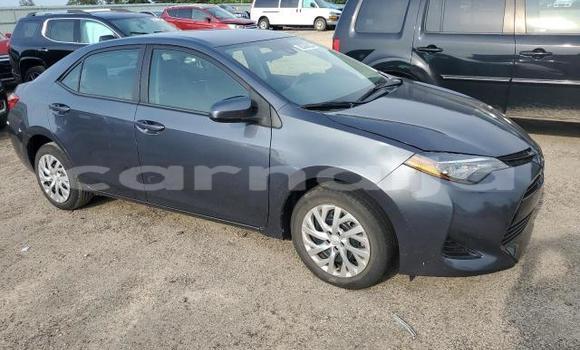 Buy New Toyota Corolla Black Car in Lagos in Lagos State Buy New Toyota Corolla Black Car in Lagos in Lagos State