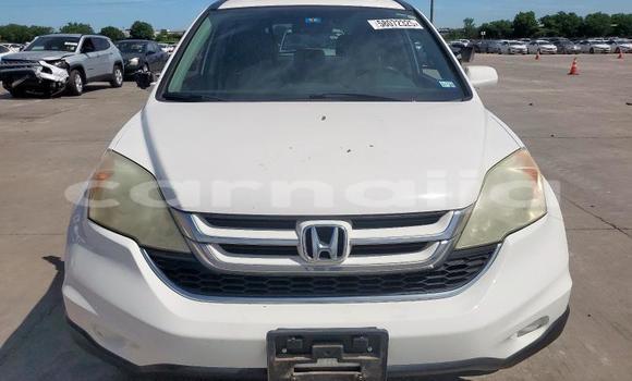 Buy New Honda CR–V White Car in Badagry in Lagos State