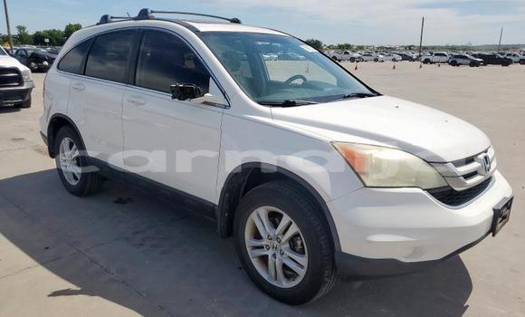 Acheter Neuf Voiture Honda CR–V Blanc à Badagry, État de Lagos Acheter Neuf Voiture Honda CR–V Blanc à Badagry, État de Lagos