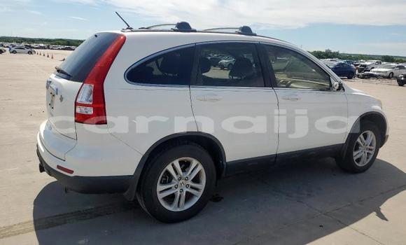 Acheter Neuf Voiture Honda CR–V Blanc à Badagry, État de Lagos Acheter Neuf Voiture Honda CR–V Blanc à Badagry, État de Lagos