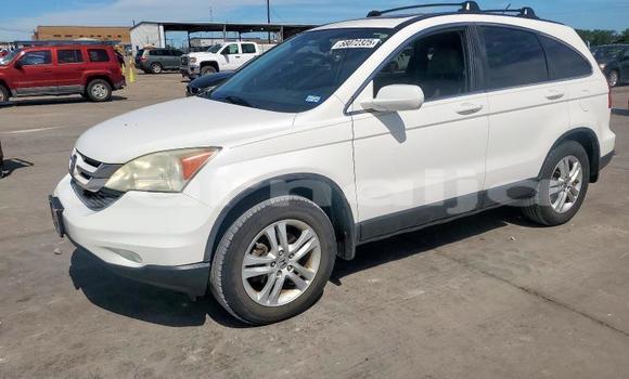 Acheter Neuf Voiture Honda CR–V Blanc à Badagry, État de Lagos Acheter Neuf Voiture Honda CR–V Blanc à Badagry, État de Lagos