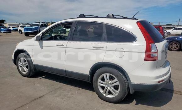 Acheter Neuf Voiture Honda CR–V Blanc à Badagry, État de Lagos Acheter Neuf Voiture Honda CR–V Blanc à Badagry, État de Lagos