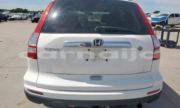 Acheter Neuf Voiture Honda CR–V Blanc à Badagry, État de Lagos Acheter Neuf Voiture Honda CR–V Blanc à Badagry, État de Lagos