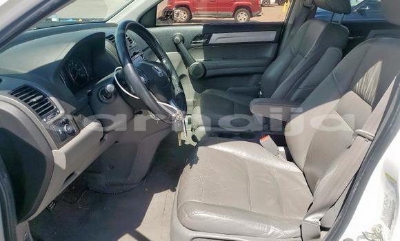 Acheter Neuf Voiture Honda CR–V Blanc à Badagry, État de Lagos Acheter Neuf Voiture Honda CR–V Blanc à Badagry, État de Lagos