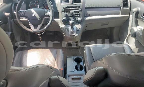 Acheter Neuf Voiture Honda CR–V Blanc à Badagry, État de Lagos Acheter Neuf Voiture Honda CR–V Blanc à Badagry, État de Lagos