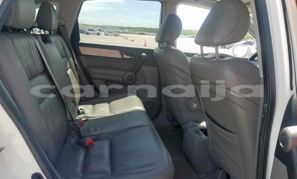 Acheter Neuf Voiture Honda CR–V Blanc à Badagry, État de Lagos Acheter Neuf Voiture Honda CR–V Blanc à Badagry, État de Lagos