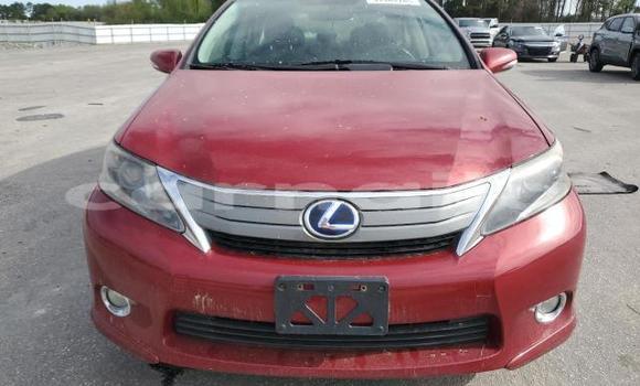 Buy New Lexus IS Red Car in Badagry in Lagos State Buy New Lexus IS Red Car in Badagry in Lagos State