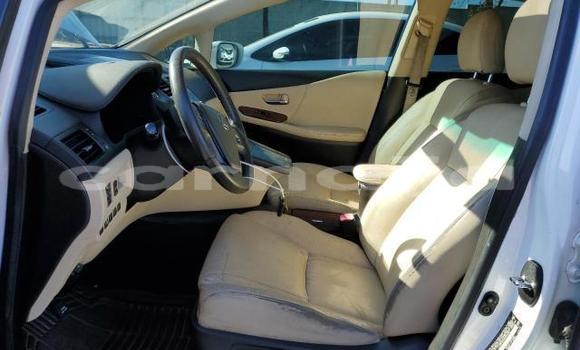 Buy New Lexus HS White Car in Badagry in Lagos State Buy New Lexus HS White Car in Badagry in Lagos State