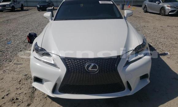 Buy New Lexus IS White Car in Badagry in Lagos State