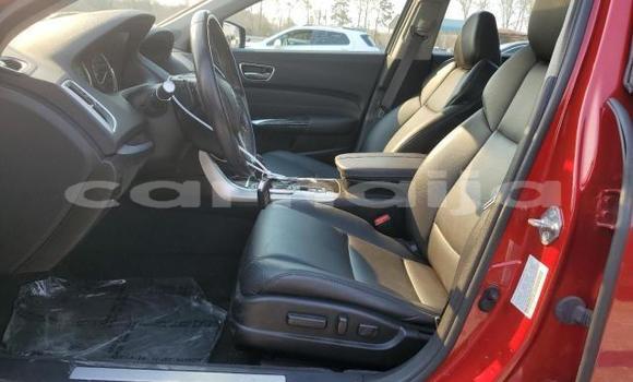 Buy New Acura TLX Red Car in Badagry in Lagos State Buy New Acura TLX Red Car in Badagry in Lagos State