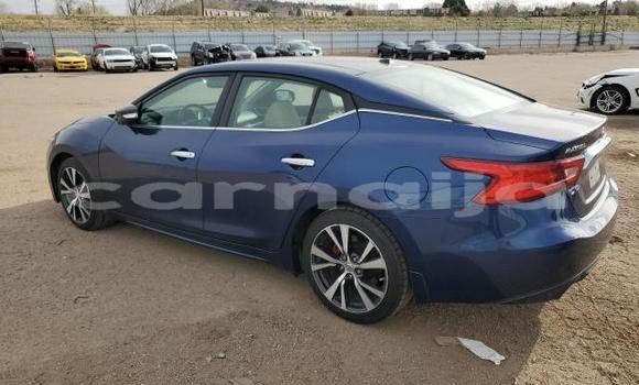 Acheter Neuf Voiture Nissan Maxima Bleu à Badagry, État de Lagos Acheter Neuf Voiture Nissan Maxima Bleu à Badagry, État de Lagos