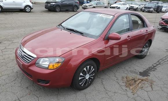 Acheter Neuf Voiture Kia Spectra Rouge à Badagry, État de Lagos Acheter Neuf Voiture Kia Spectra Rouge à Badagry, État de Lagos