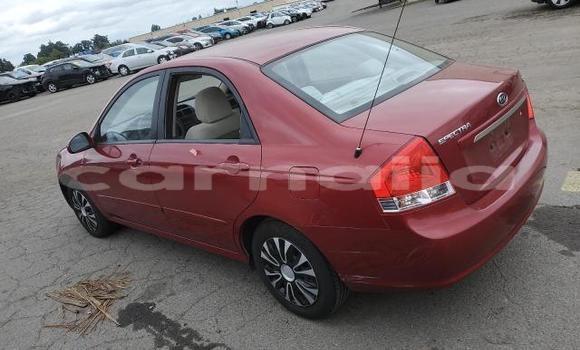 Acheter Neuf Voiture Kia Spectra Rouge à Badagry, État de Lagos Acheter Neuf Voiture Kia Spectra Rouge à Badagry, État de Lagos
