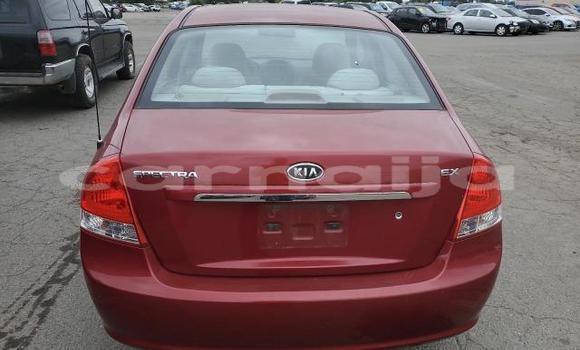 Acheter Neuf Voiture Kia Spectra Rouge à Badagry, État de Lagos Acheter Neuf Voiture Kia Spectra Rouge à Badagry, État de Lagos