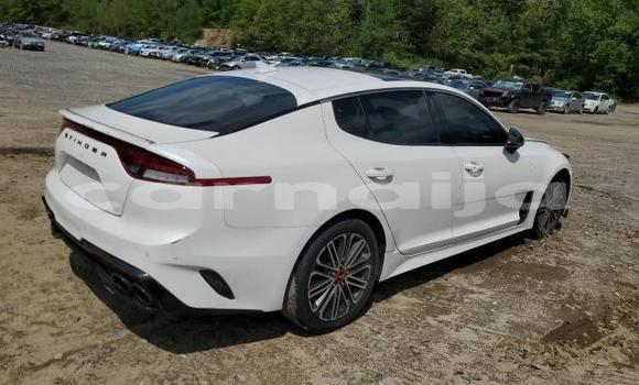 Acheter Neuf Voiture Kia Stinger Blanc à Badagry, État de Lagos Acheter Neuf Voiture Kia Stinger Blanc à Badagry, État de Lagos