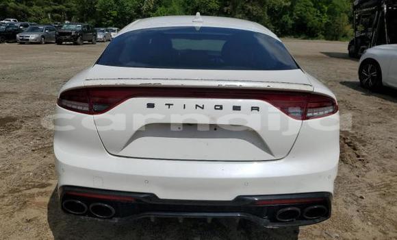 Acheter Neuf Voiture Kia Stinger Blanc à Badagry, État de Lagos Acheter Neuf Voiture Kia Stinger Blanc à Badagry, État de Lagos