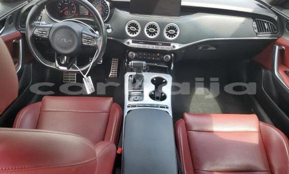 Acheter Neuf Voiture Kia Stinger Blanc à Badagry, État de Lagos Acheter Neuf Voiture Kia Stinger Blanc à Badagry, État de Lagos