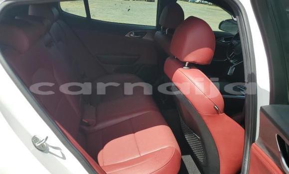 Acheter Neuf Voiture Kia Stinger Blanc à Badagry, État de Lagos Acheter Neuf Voiture Kia Stinger Blanc à Badagry, État de Lagos