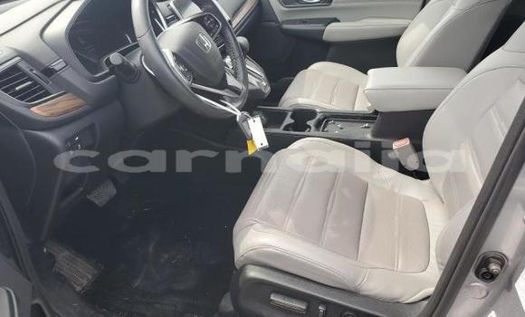 Buy New Honda CR–V Silver Car in Lagos in Lagos State Buy New Honda CR–V Silver Car in Lagos in Lagos State